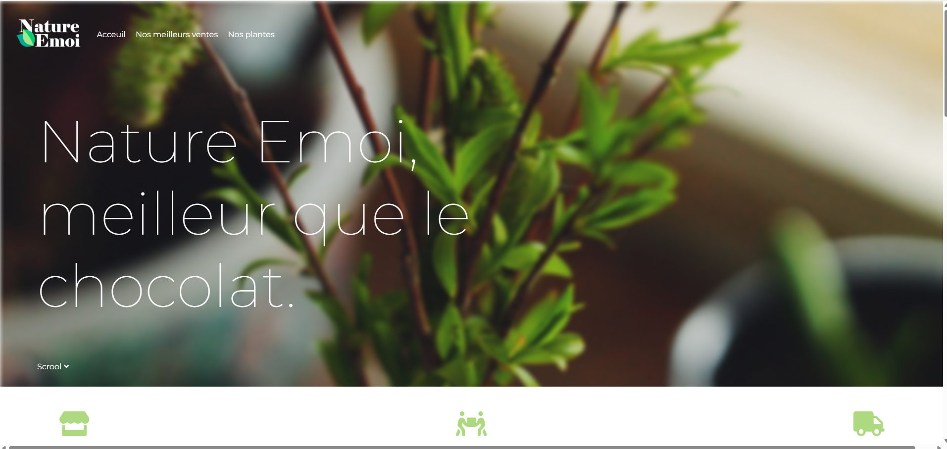 Site web apprentissage