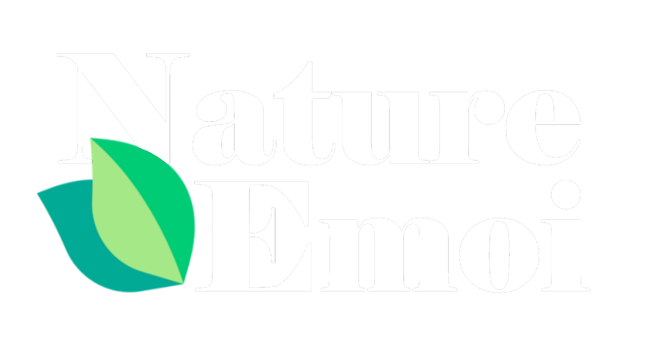 logo du site